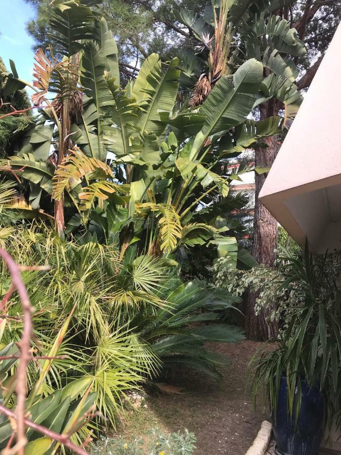 19 Rue Du Parc Alexandre III Apartment Cannes Bagian luar foto